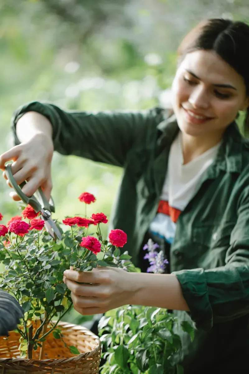 Saisonale Gartenauffrischung für ein Wohnobjekt
