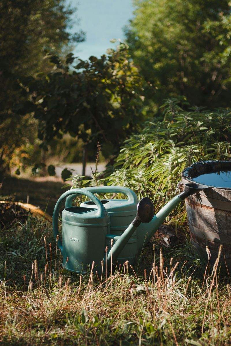 AlpenGrün Gartenpflege GmbH 1