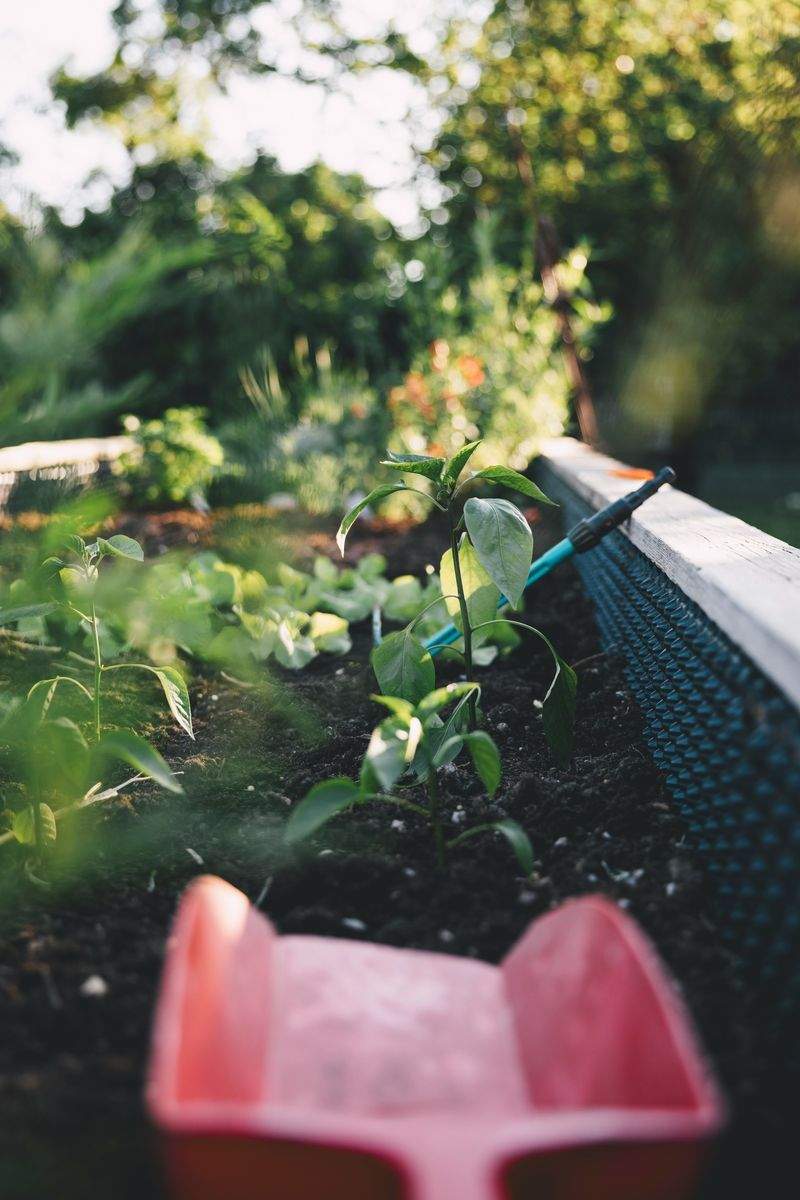 AlpenGrün Gartenpflege GmbH 2