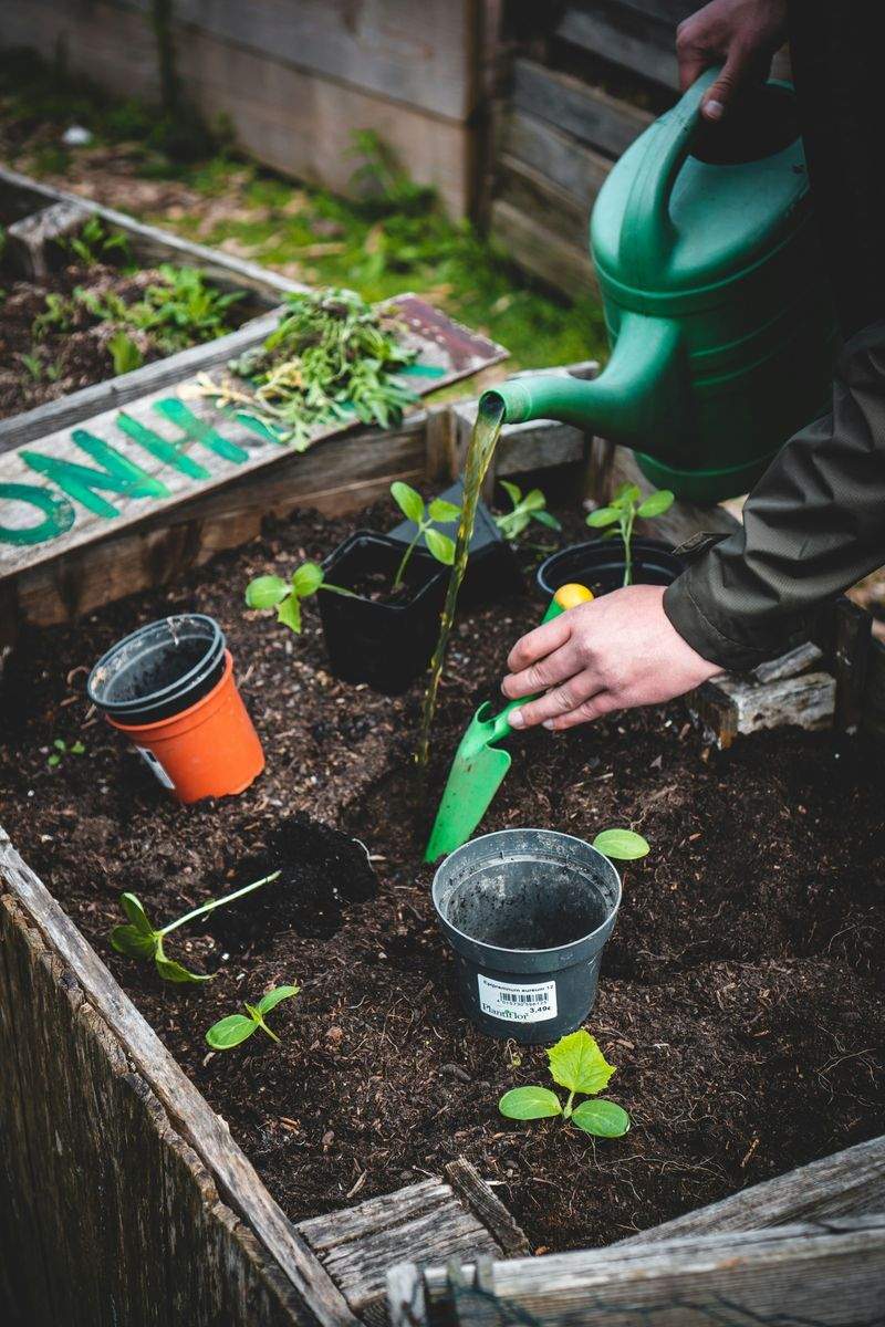 AlpenGrün Gartenpflege GmbH