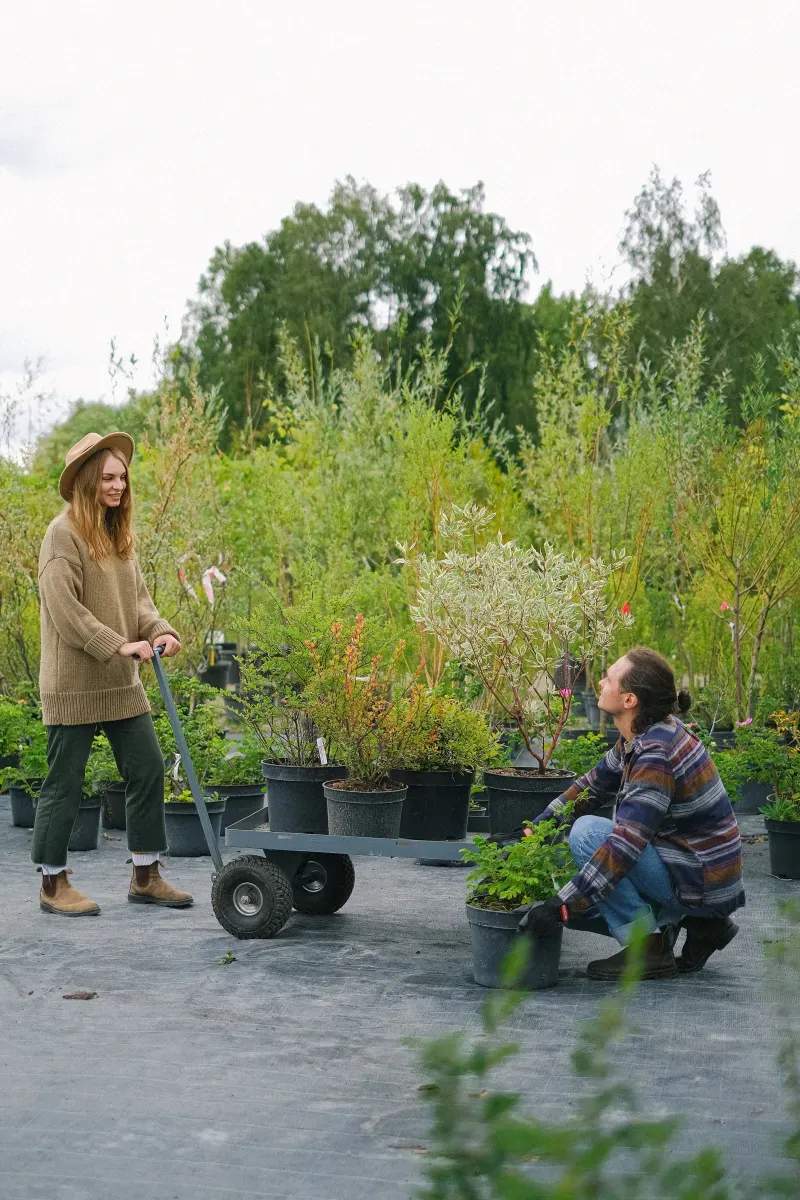 Saisonale Gartenreinigung